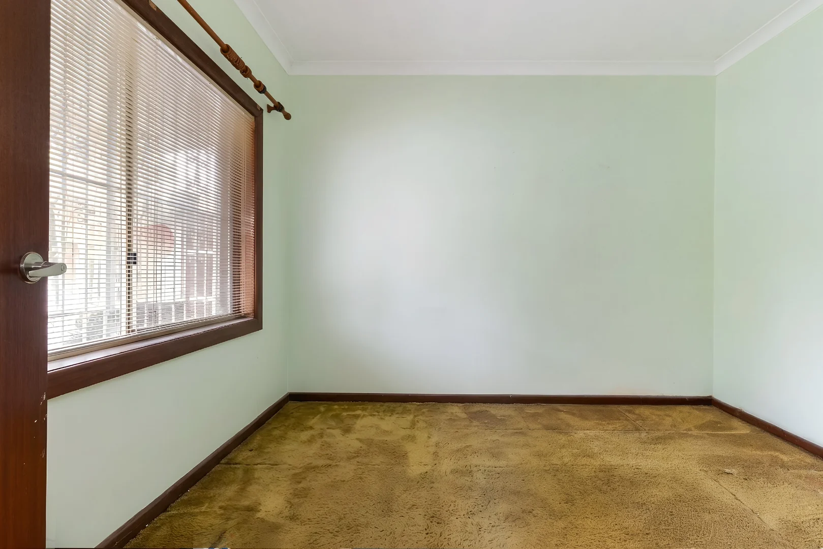 Additional image 5 of 13 Undercliffe Road, Earlwood NSW 2206