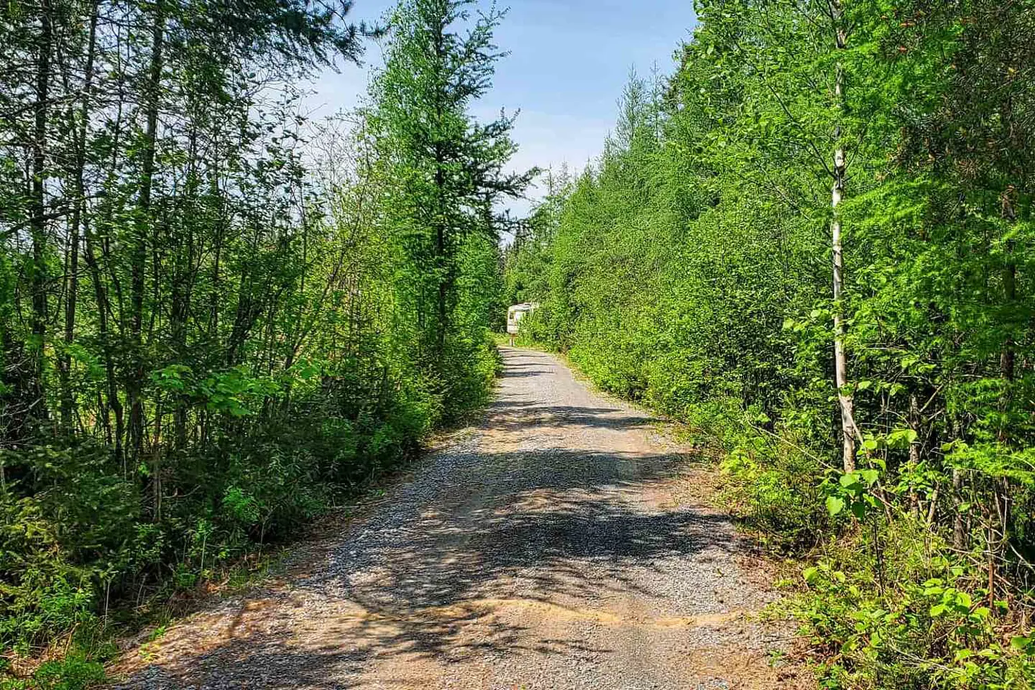 Additional image 9 of 297 Joly Strong Road
