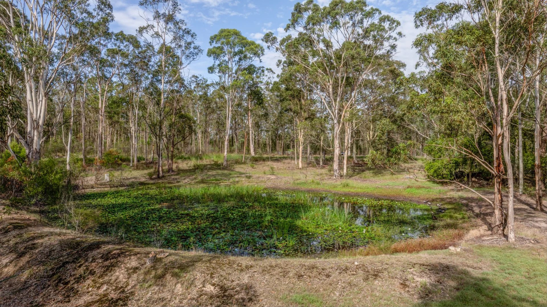 Additional image 9 of 628 Limeburners Creek Road, Clarence Town NSW 2321