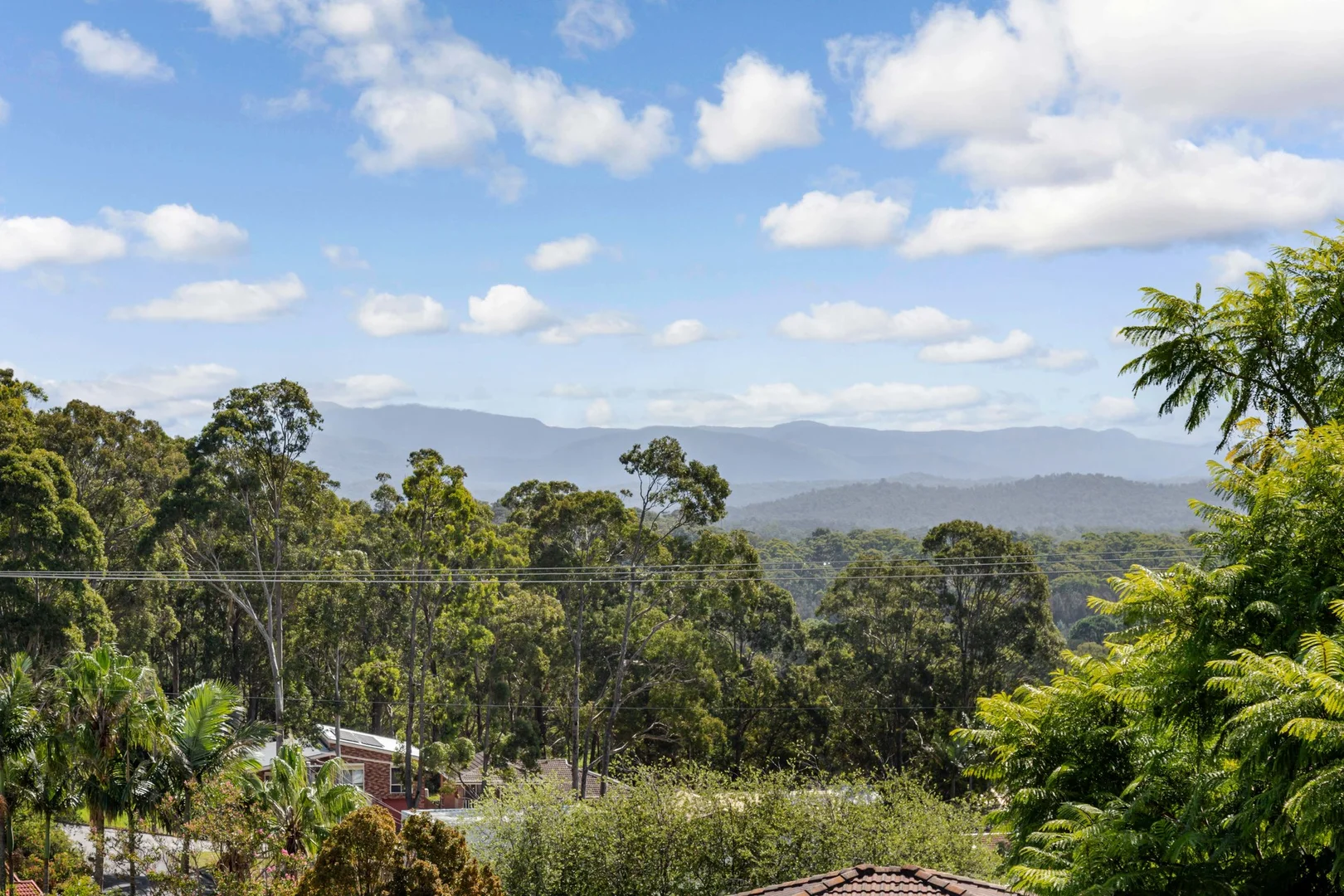 Additional image 20 of 83 Ridge Street, Catalina NSW 2536