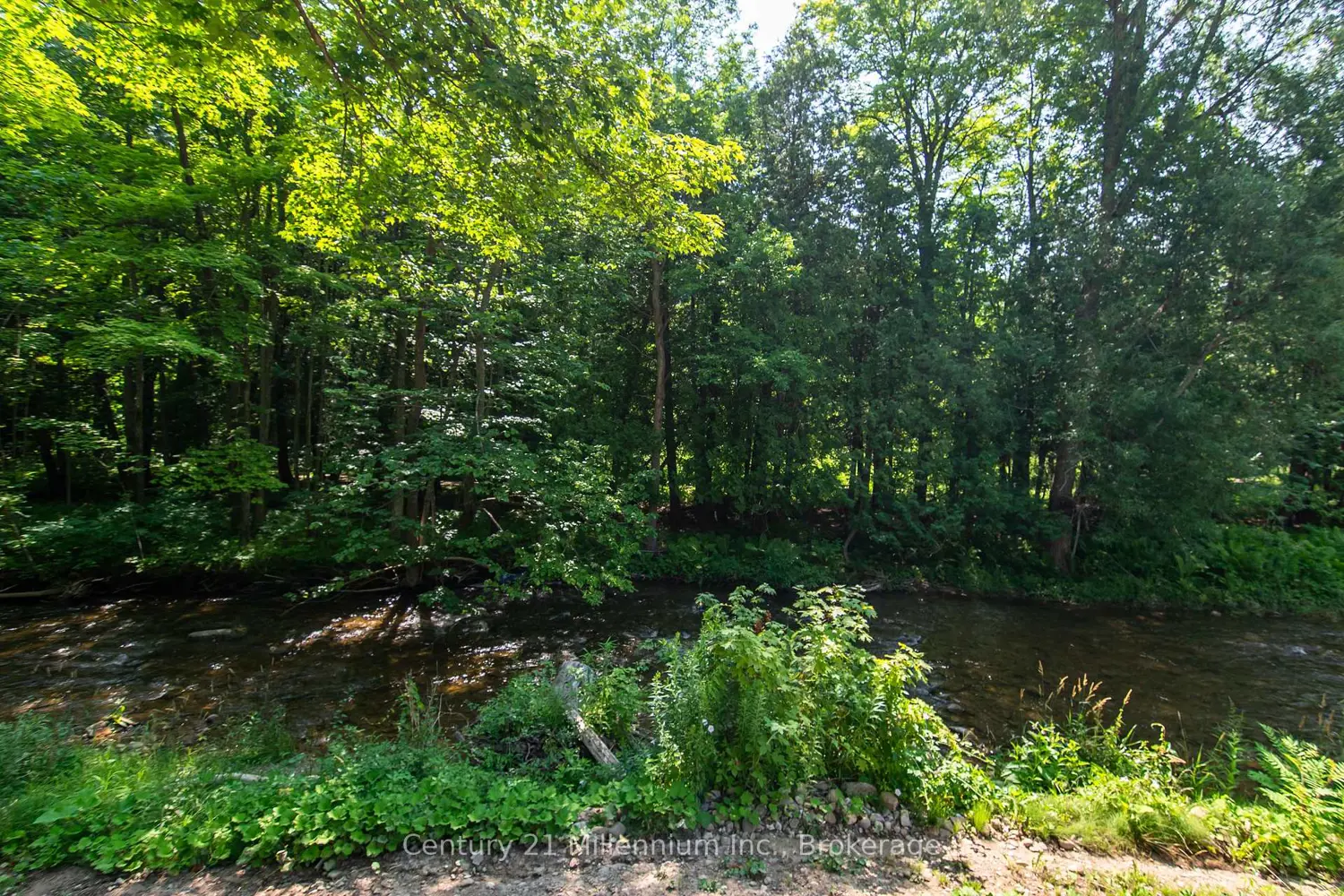 Additional image 8 of 8355 County 9 Road