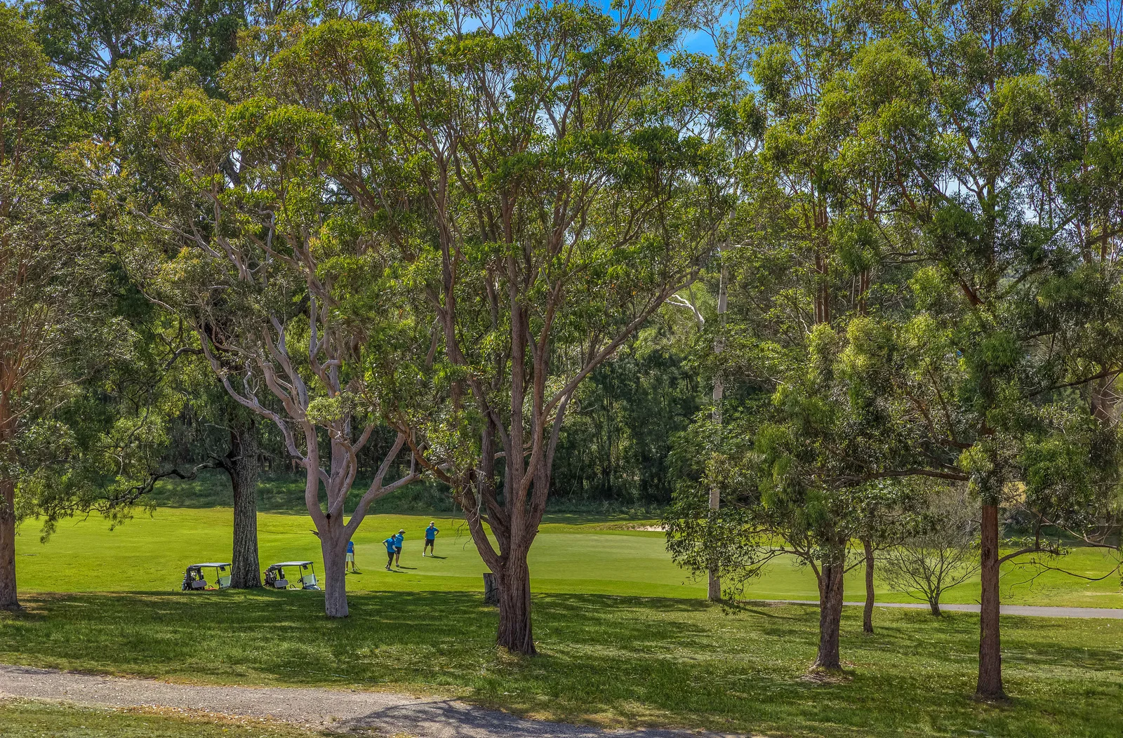 Additional image 12 of IC/024 Ibis Crescent, Shortland NSW 2307