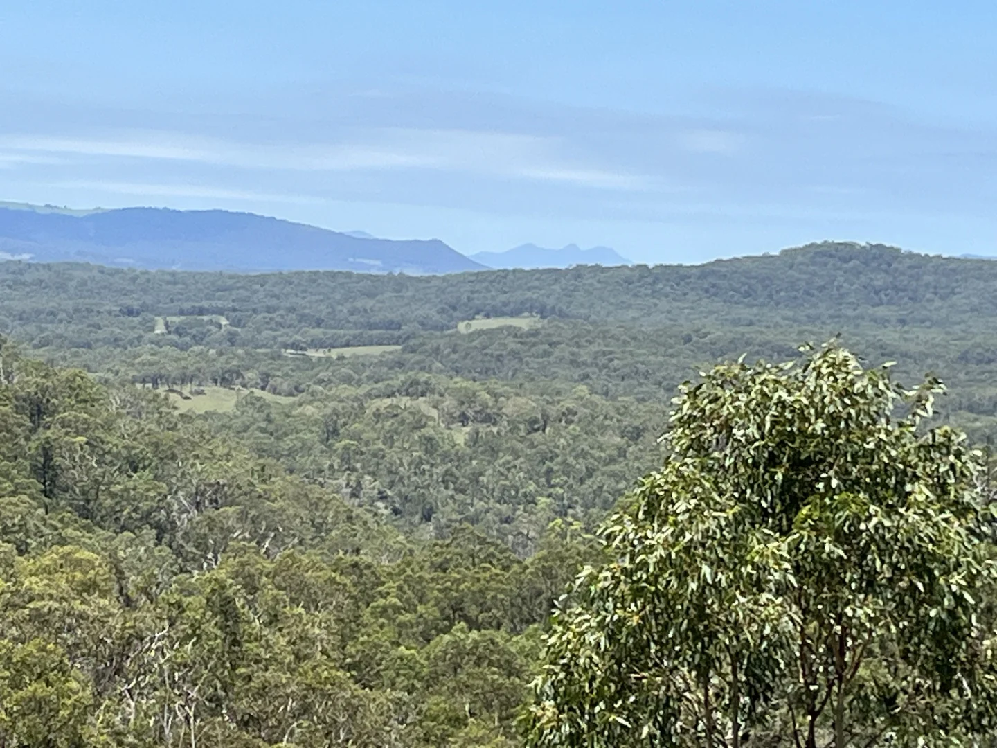 Additional image 4 of 7266 Mount Lindesay Road, Liston NSW 2372