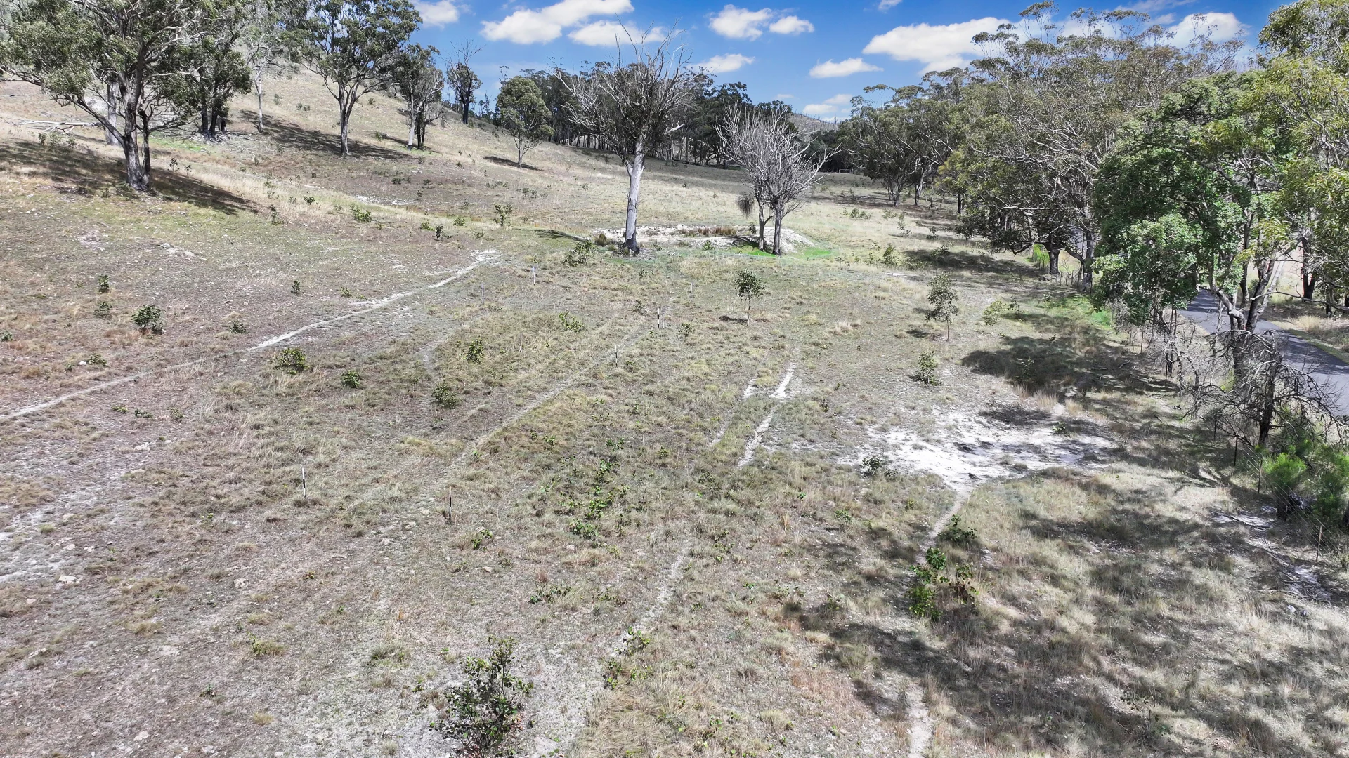 Additional image 7 of 692 Billirimba Road, Tenterfield NSW 2372
