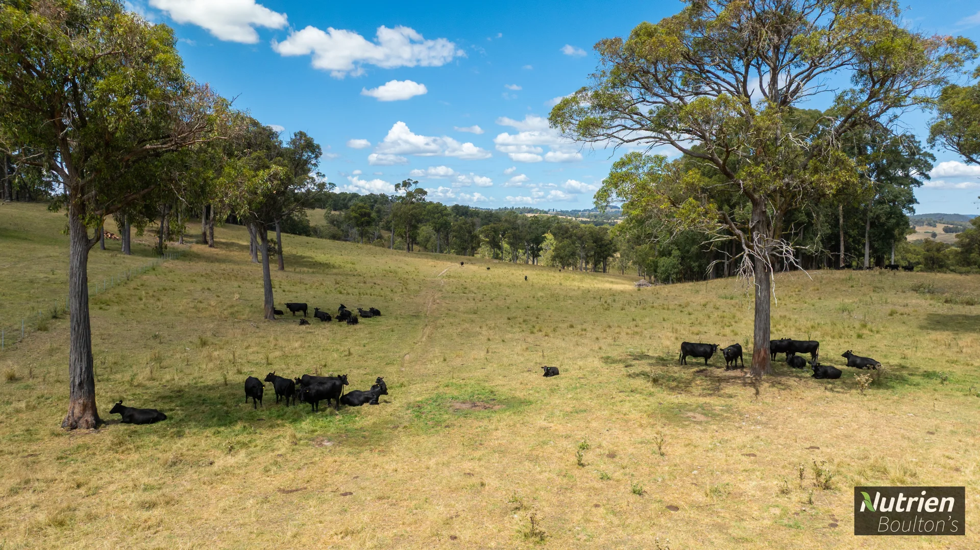 Additional image 53 of 224 Niangala-Walcha Road, Niangala NSW 2354