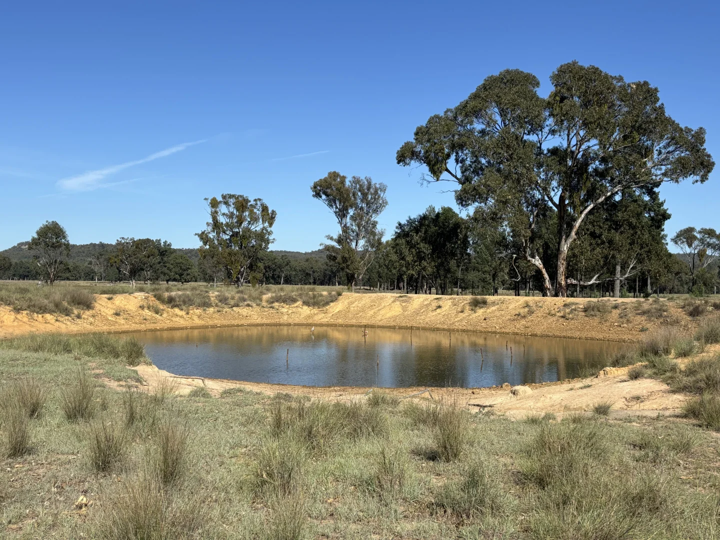 Additional image 20 of 2875 Newell Highway, Rocky Glen NSW 2357