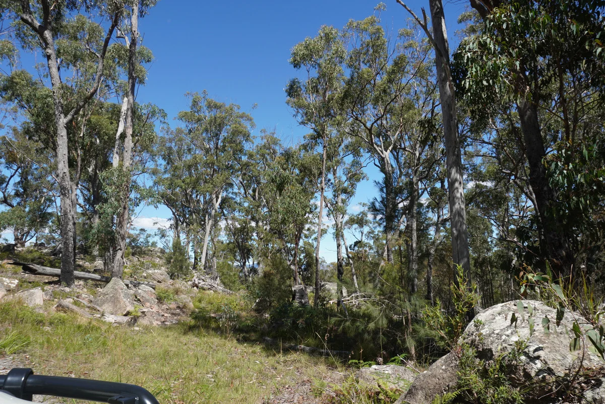 Additional image 40 of 1293 Mount Lindesay Road, Tenterfield NSW 2372