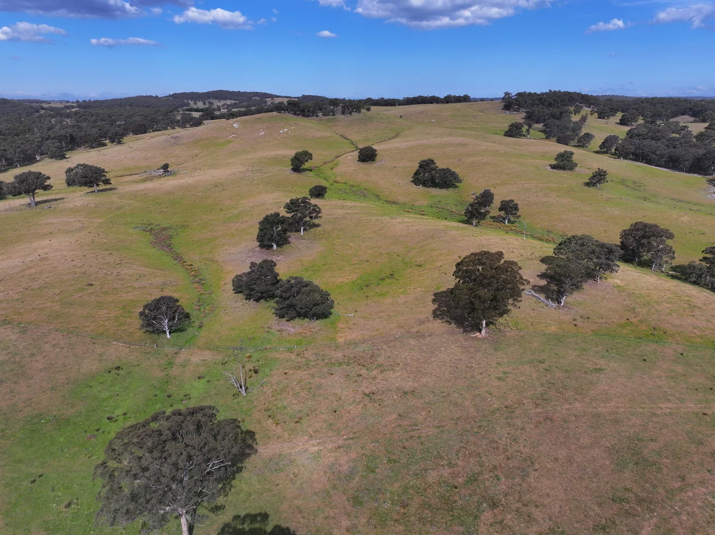 Additional image 9 of 680 Kangaloolah Road, Binda NSW 2583