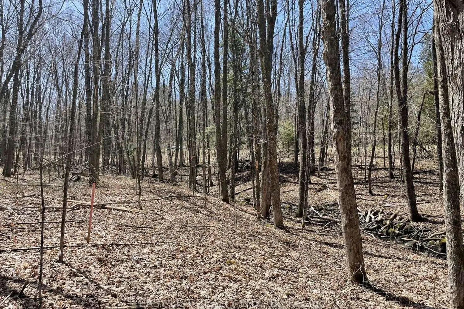 Additional image 5 of Lot 1 Colonial Road