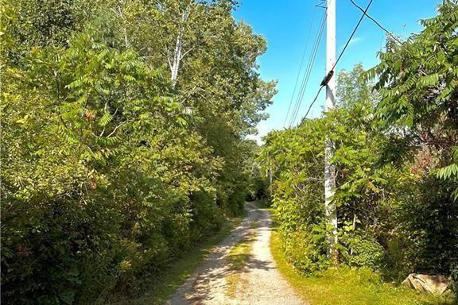 Additional image 5 of 0 Downing Lane