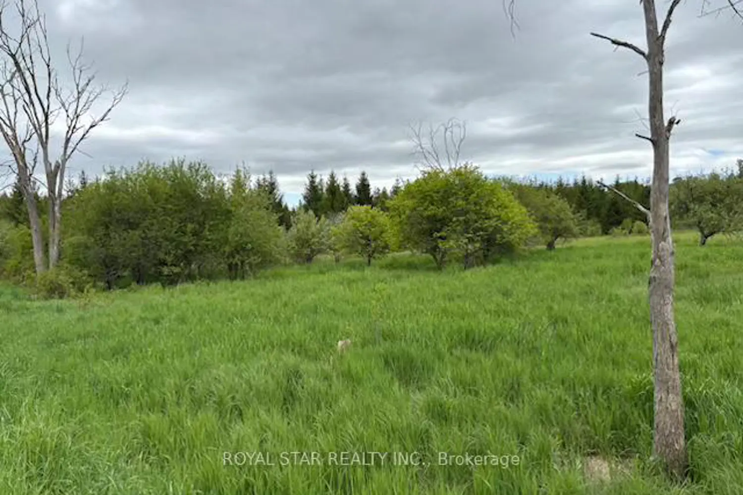 Additional image 10 of 104264 Grey Road 18