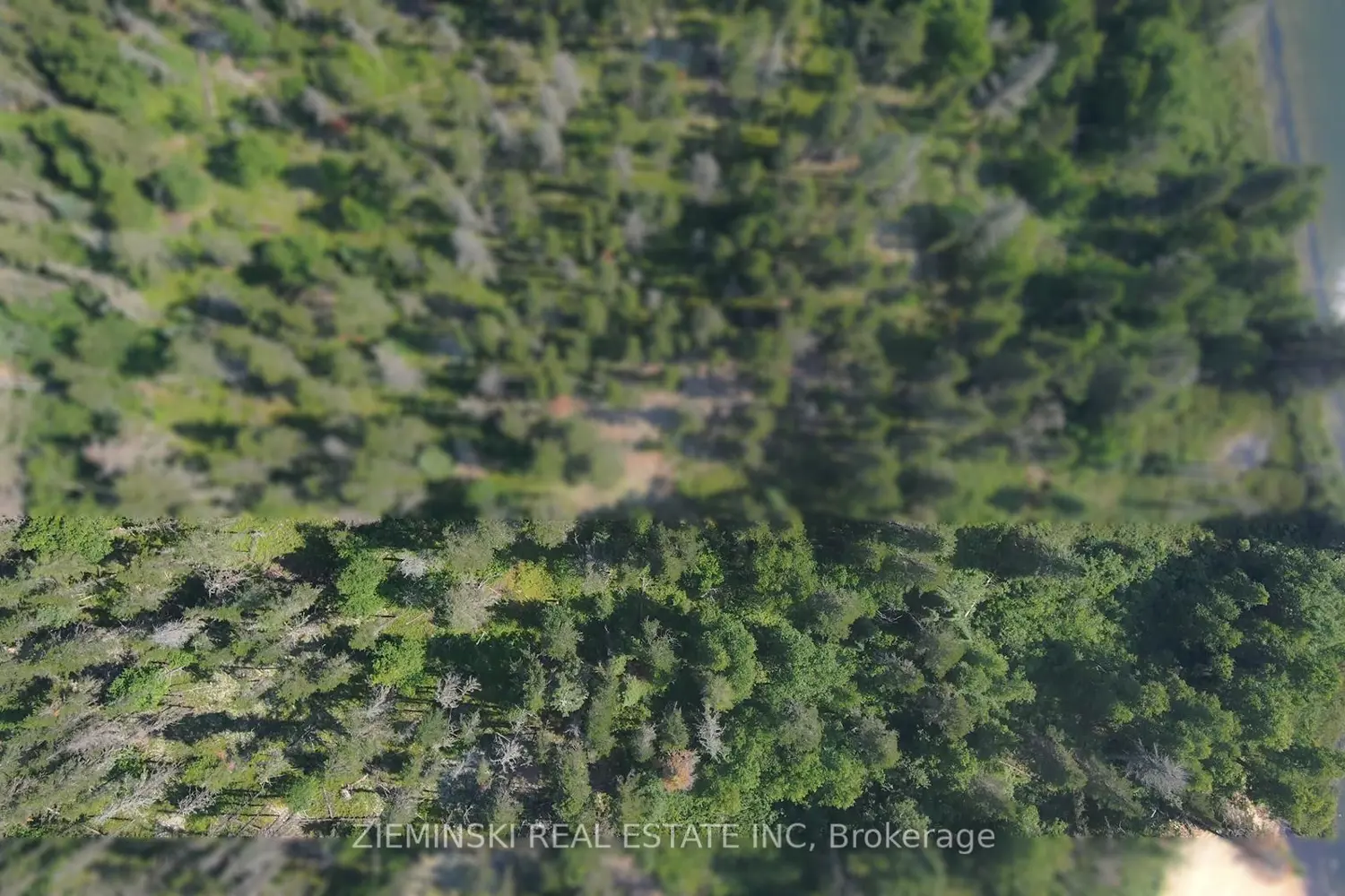 Additional image 5 of Lot 6 Plan 6M499, North Munro Lake Road