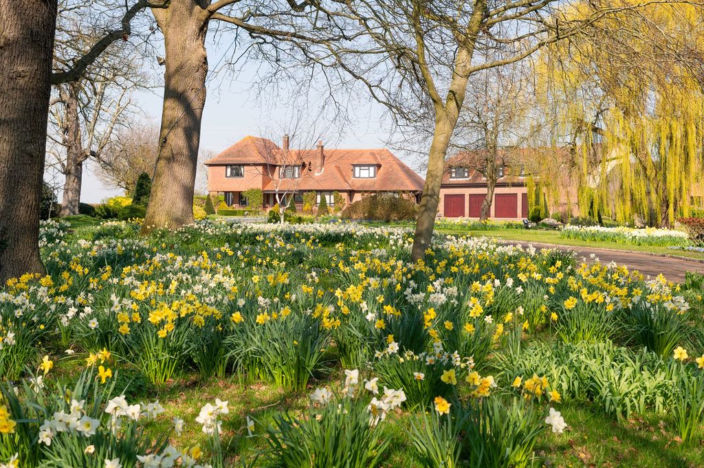 Additional image 9 of 5 bed detached house for saleWestfield Road, Oakley, Bedfordshire MK43