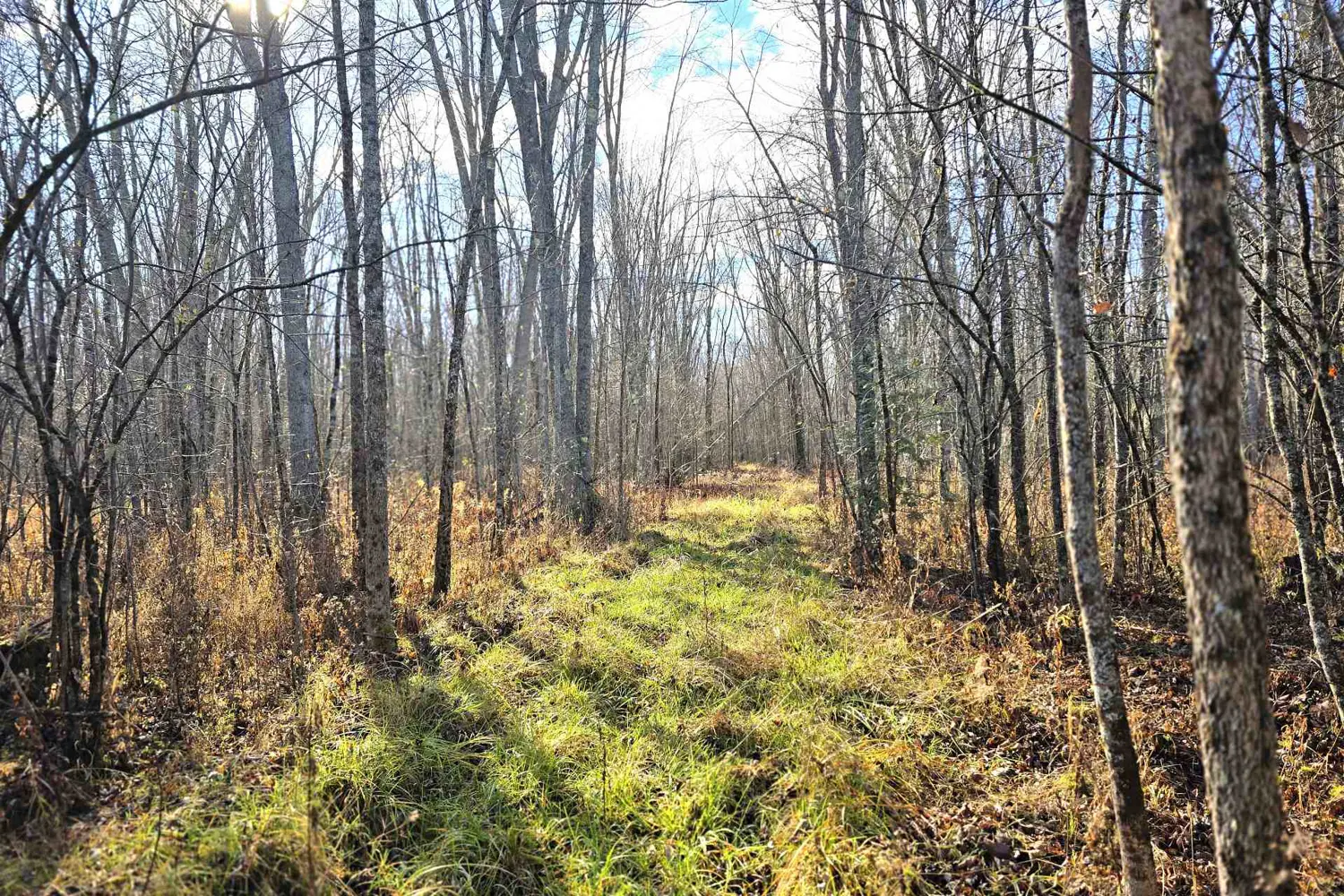 Additional image 9 of 0 Enright Road