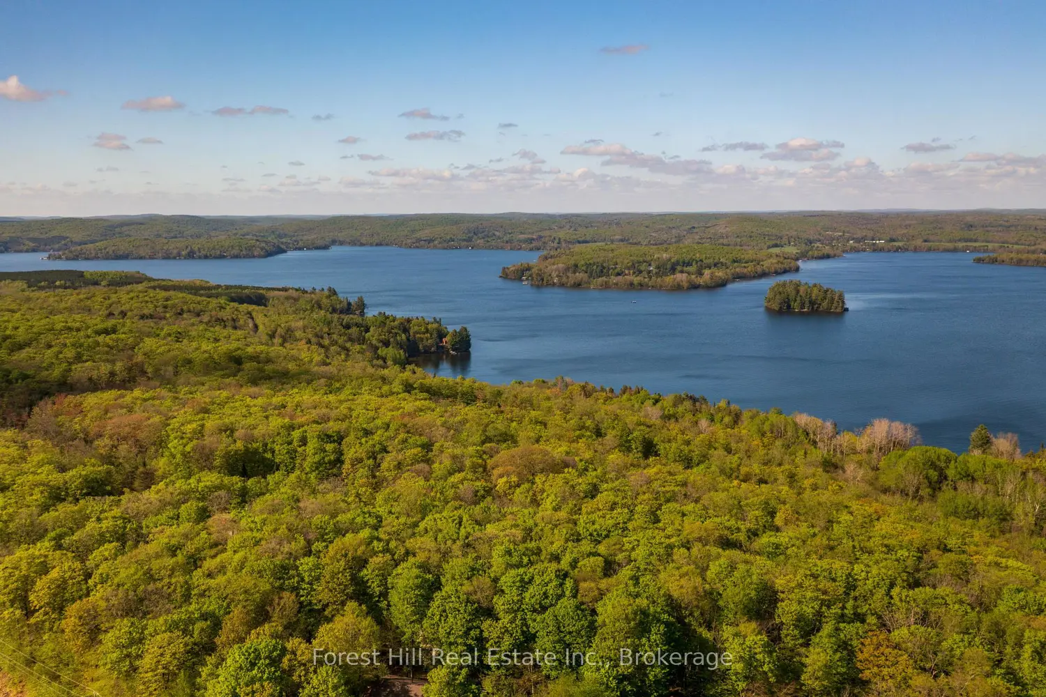 Additional image 9 of 917 Portage Road