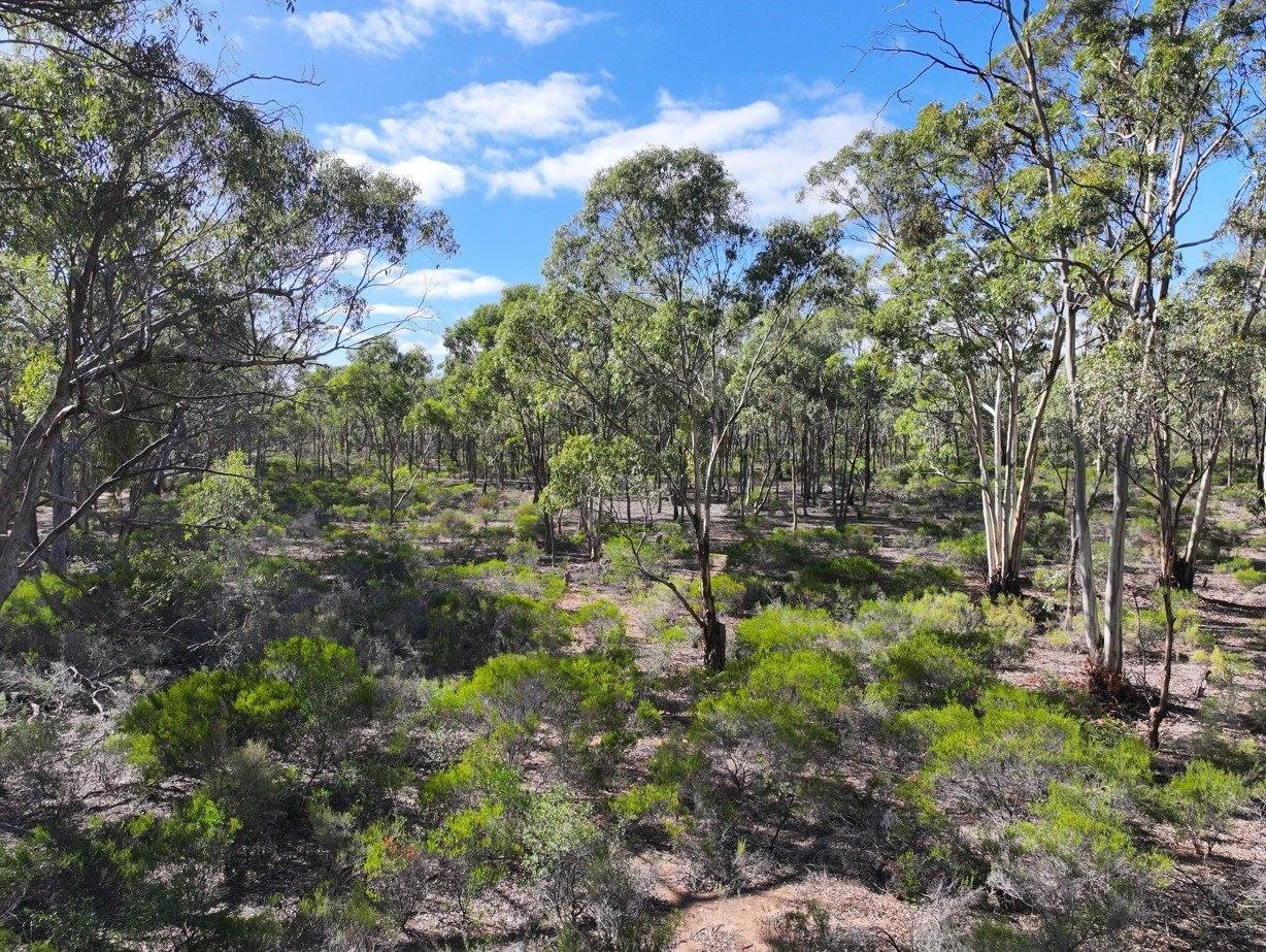 Additional image 4 of 0 Halls Road, Kingower VIC 3517