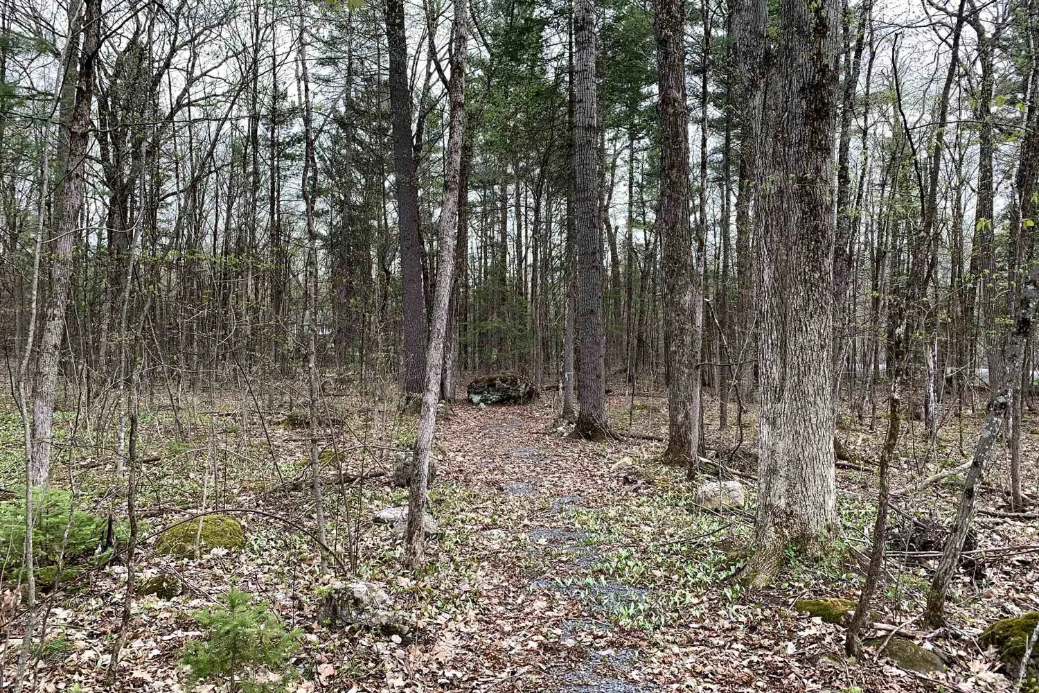 Additional image 3 of 00 O'toole Road