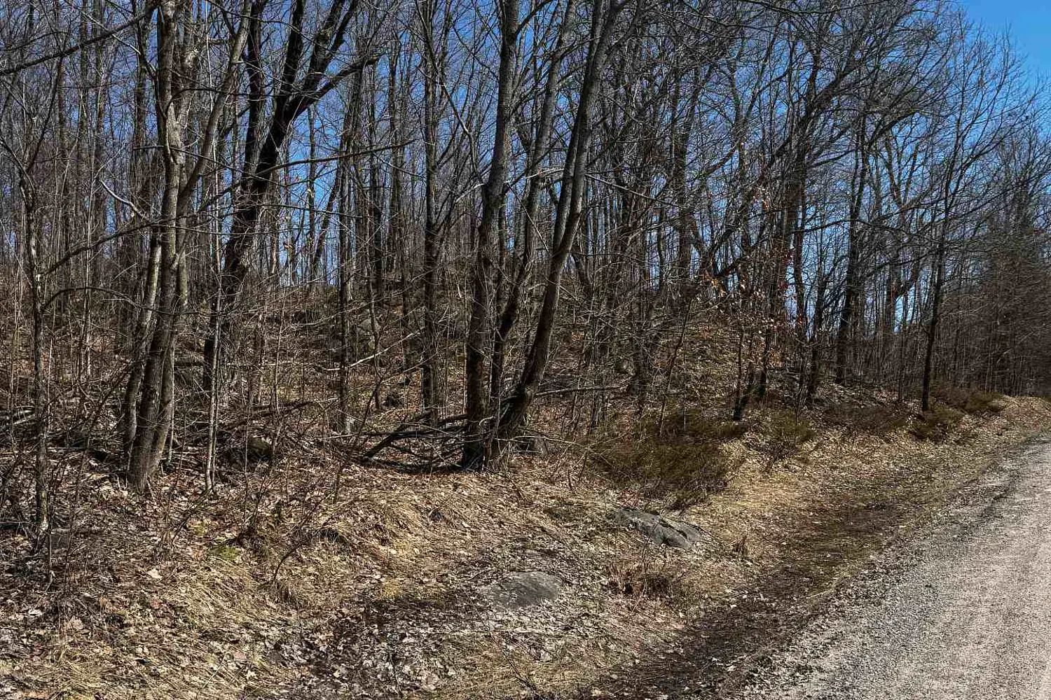 Additional image 16 of Lot 2 Lorimer Lake Road