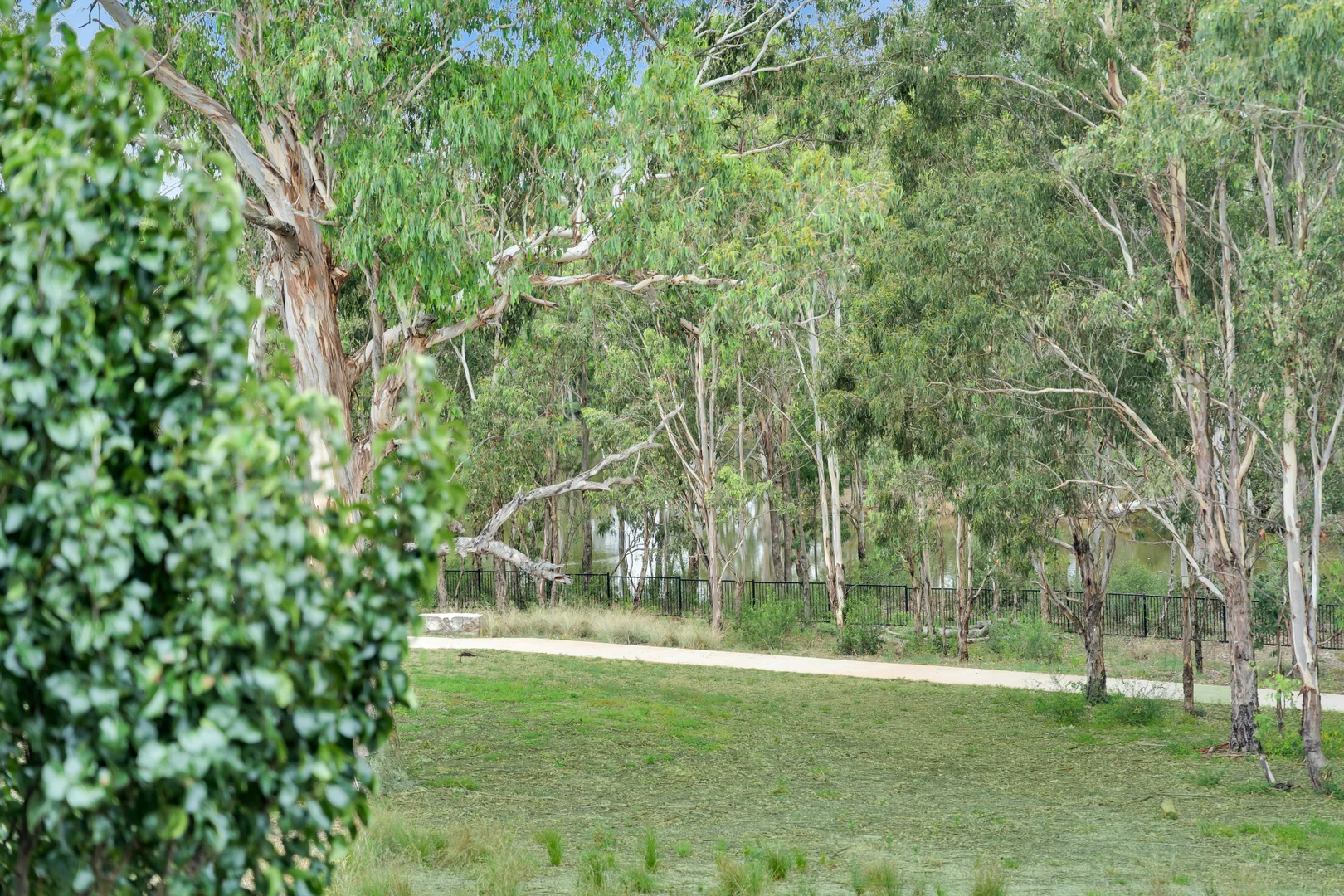 Additional image 20 of 98 Poulton Terrace, Campbelltown NSW 2560