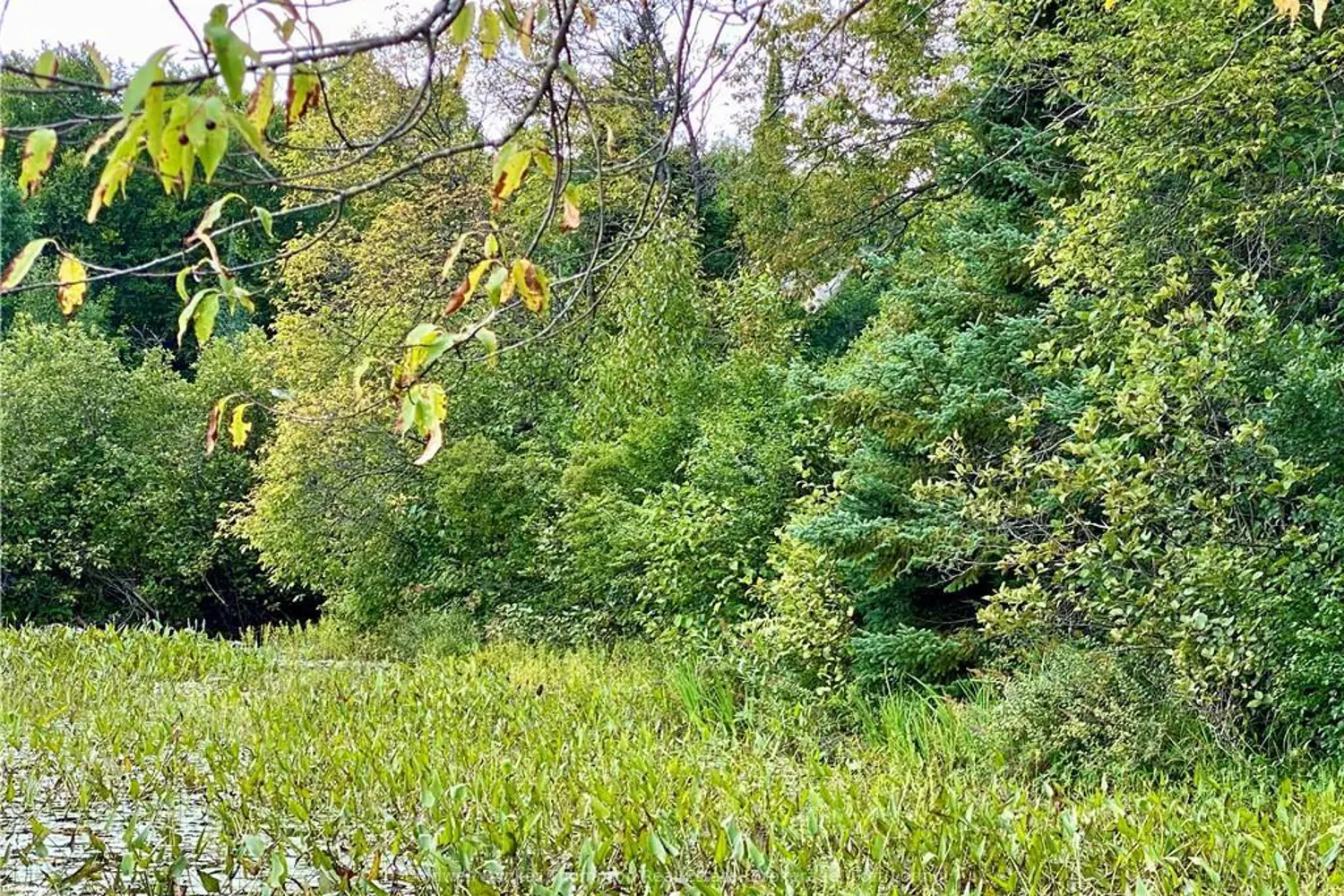 Additional image 19 of 22-A Maple Drive