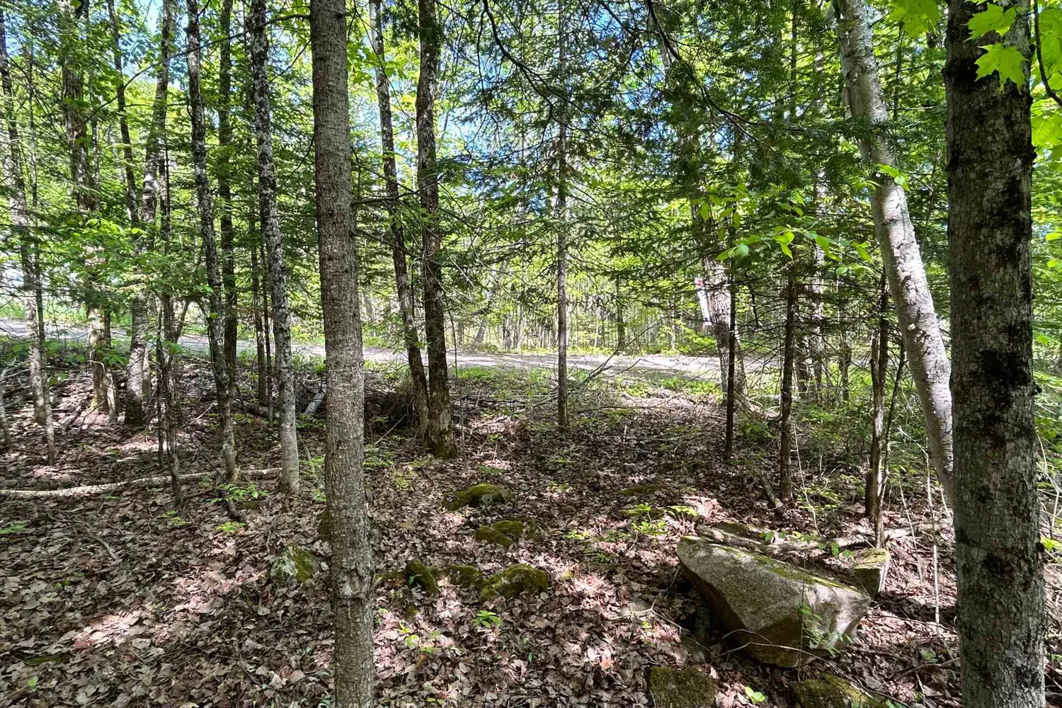 0 Sharon Lake Drive photo 3
