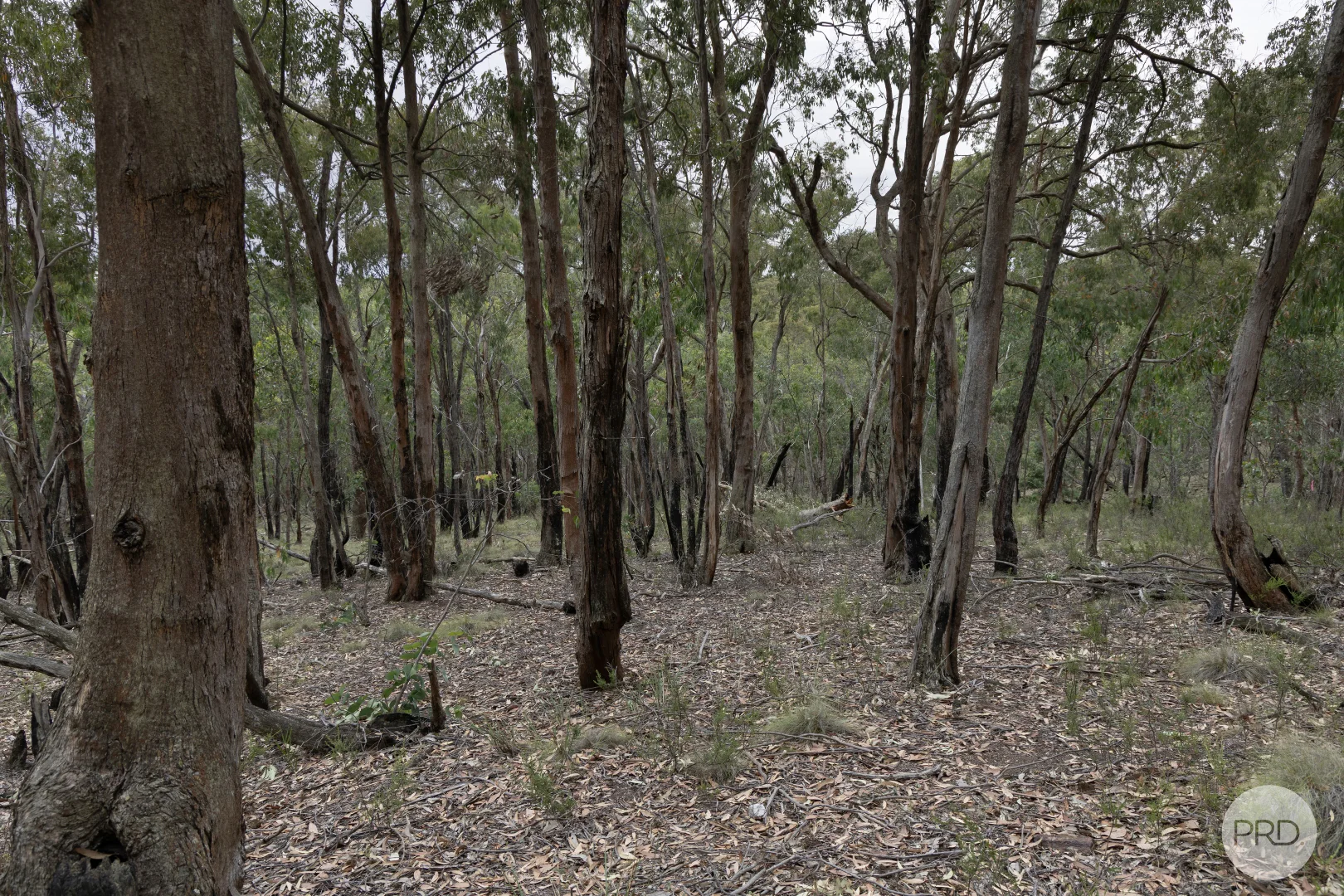 Additional image 7 of Lot 5 Haighs Lane, Snake Valley VIC 3351