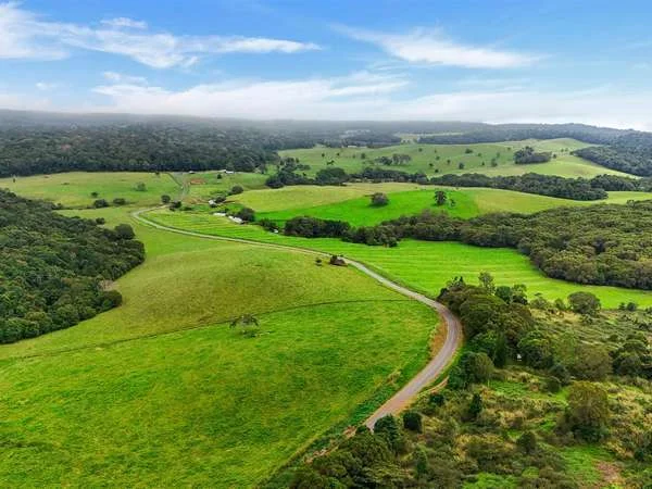 Additional image 9 of 464 Boar Pocket Road, Yungaburra QLD 4884