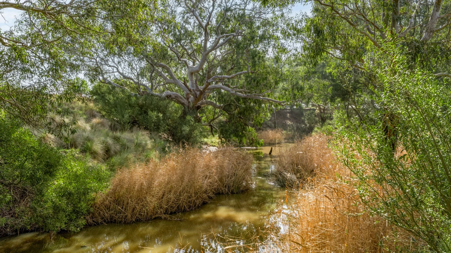 Additional image 7 of 1159 Inverleigh-Winchelsea Road, Inverleigh VIC 3321