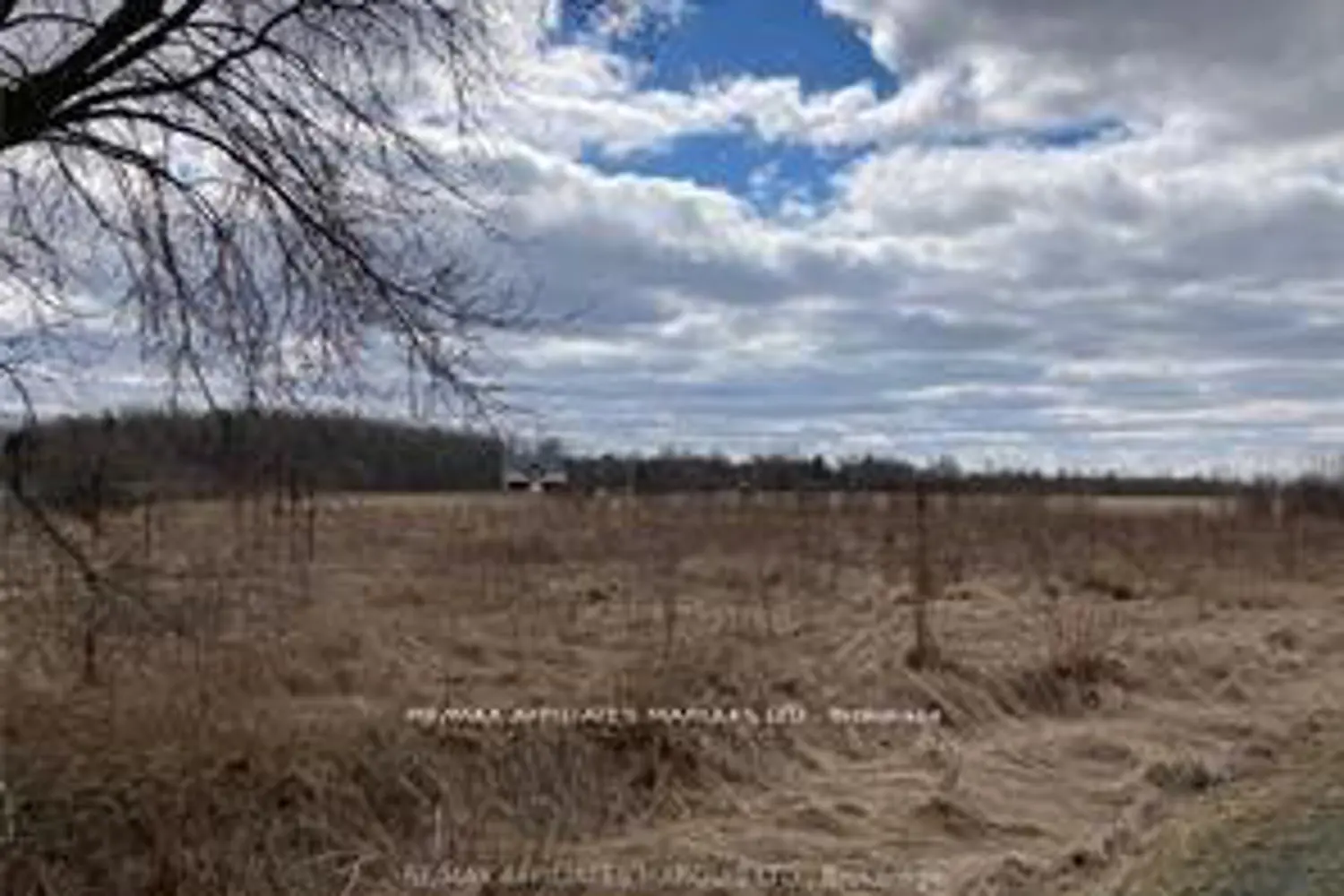 Additional image 8 of Lot South Branch Road