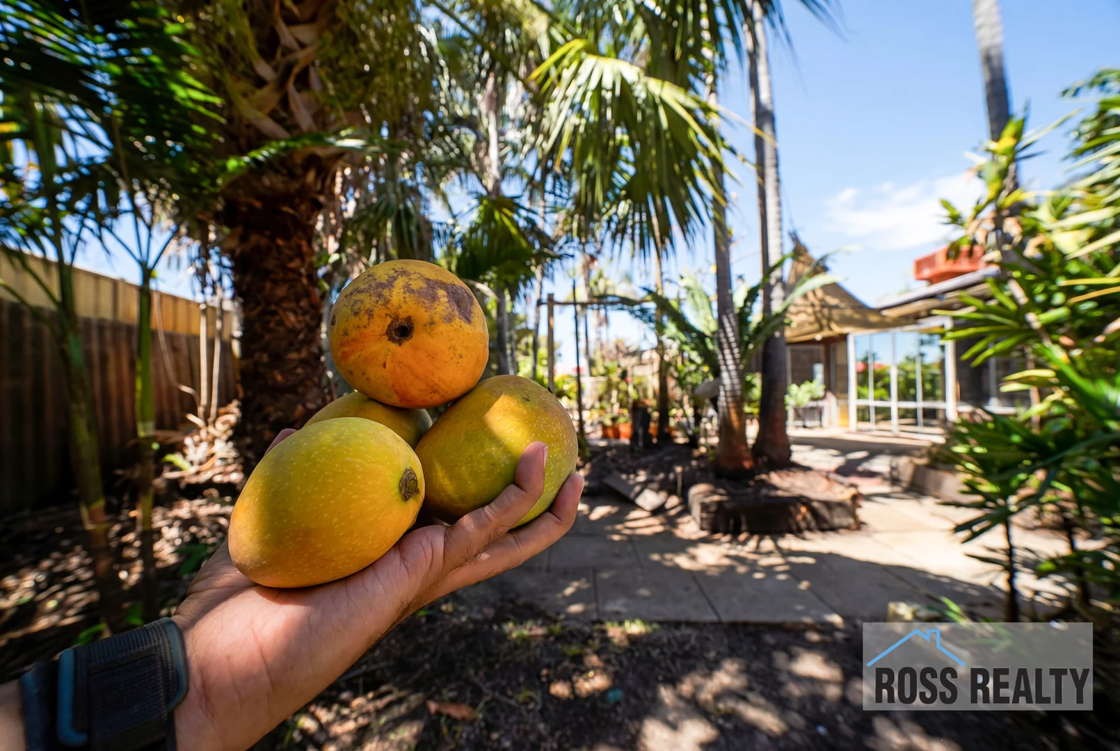 Additional image 21 of 123 Beechboro Road, Bayswater WA 6053