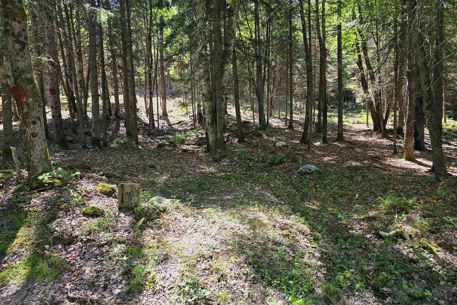 Additional image 2 of 00 Whitney Road