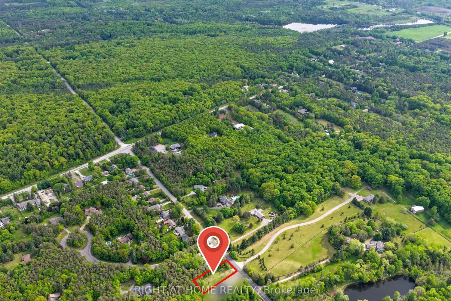 16895 Mccowan Road photo 2