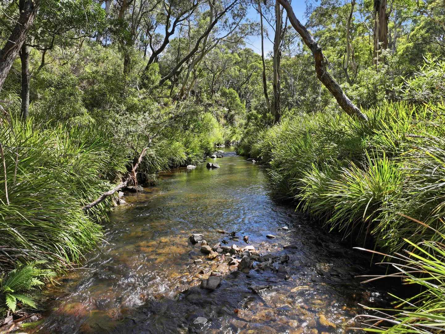 Additional image 15 of 329 Charleys Forest Road, Braidwood NSW 2622
