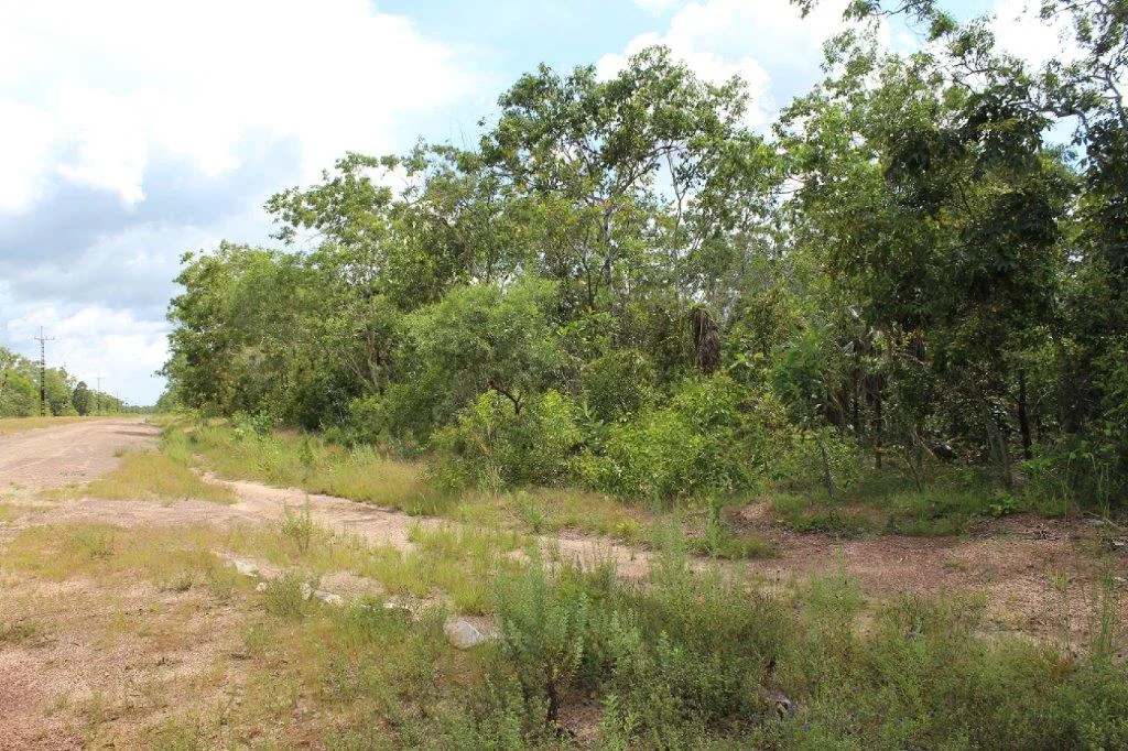 Additional image 3 of 155 Serrata Road, Dundee Downs NT 0840