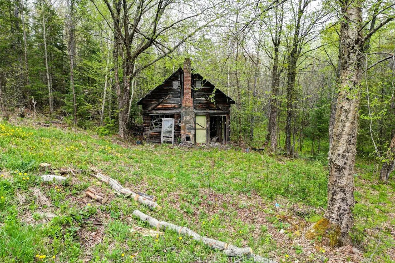 Additional image 16 of 1019 Anderson Road