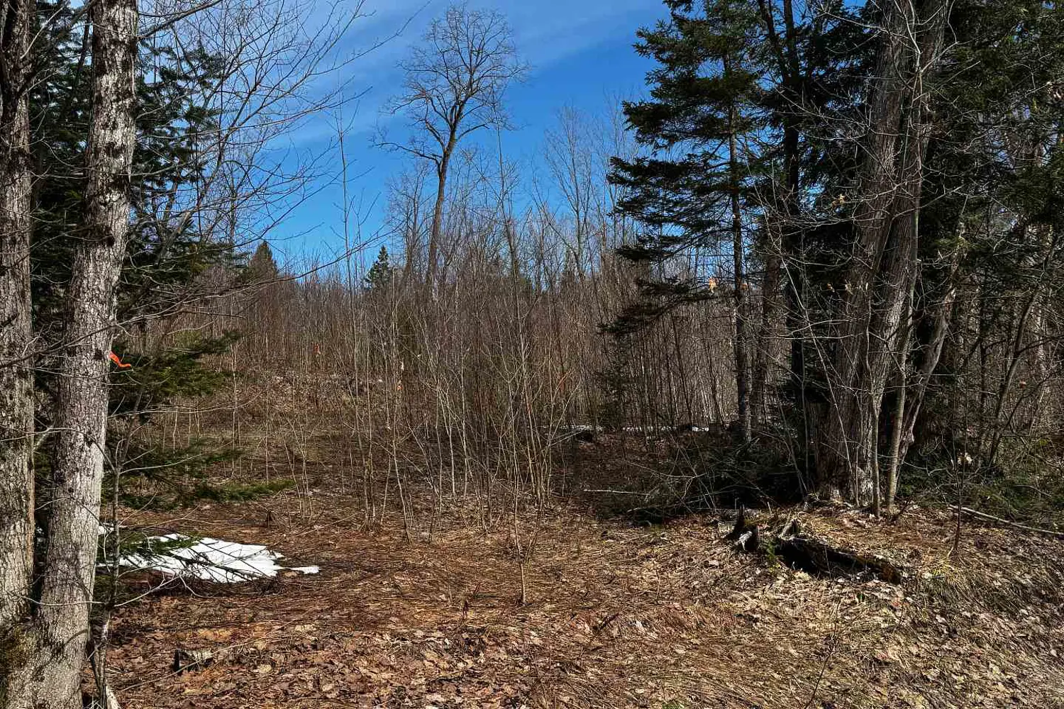Additional image 19 of Lot 2 Lorimer Lake Road