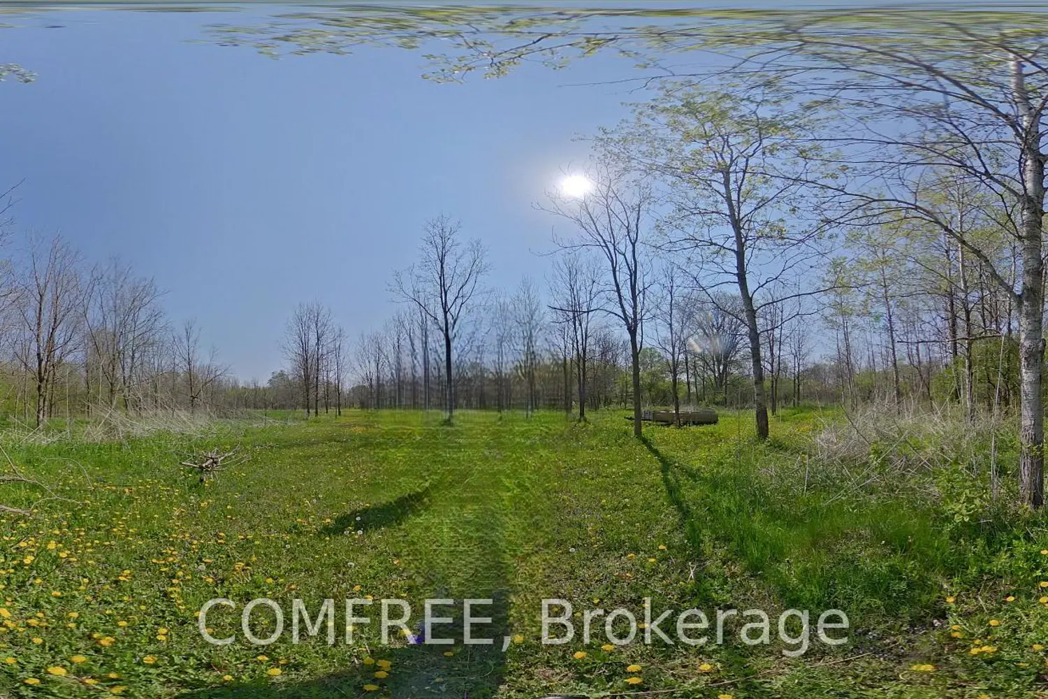 Additional image 13 of 375500 37Th Line