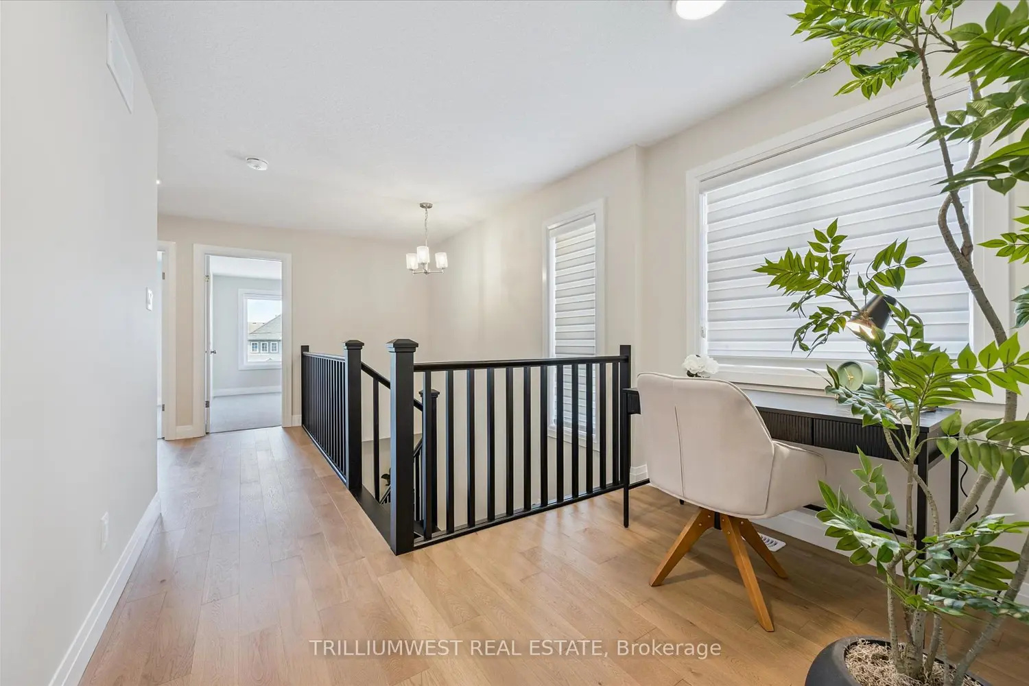 Additional image 7 of 109 Catherine Street