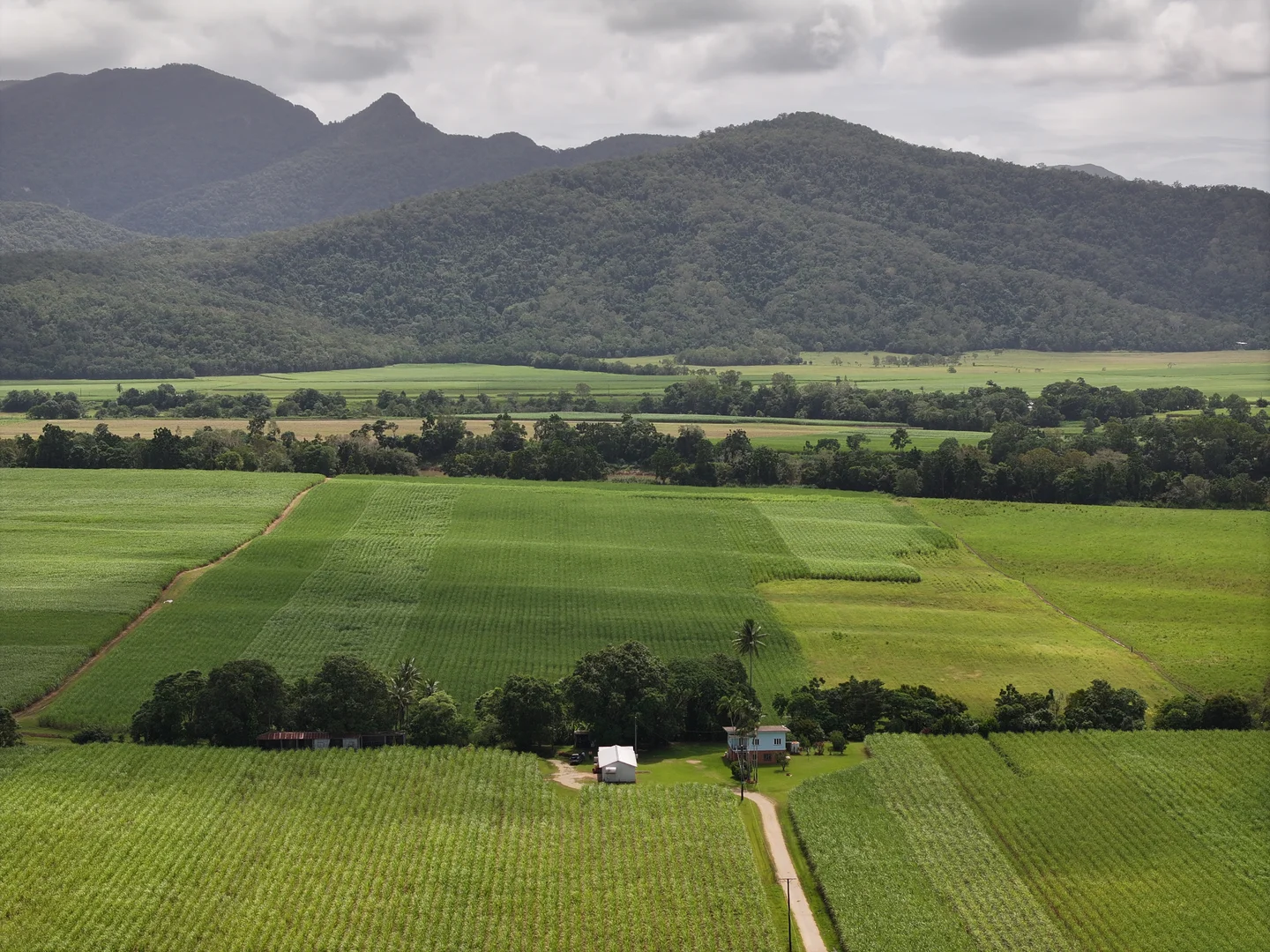 Additional image 2 of 962 Abergowrie Road, Trebonne QLD 4850