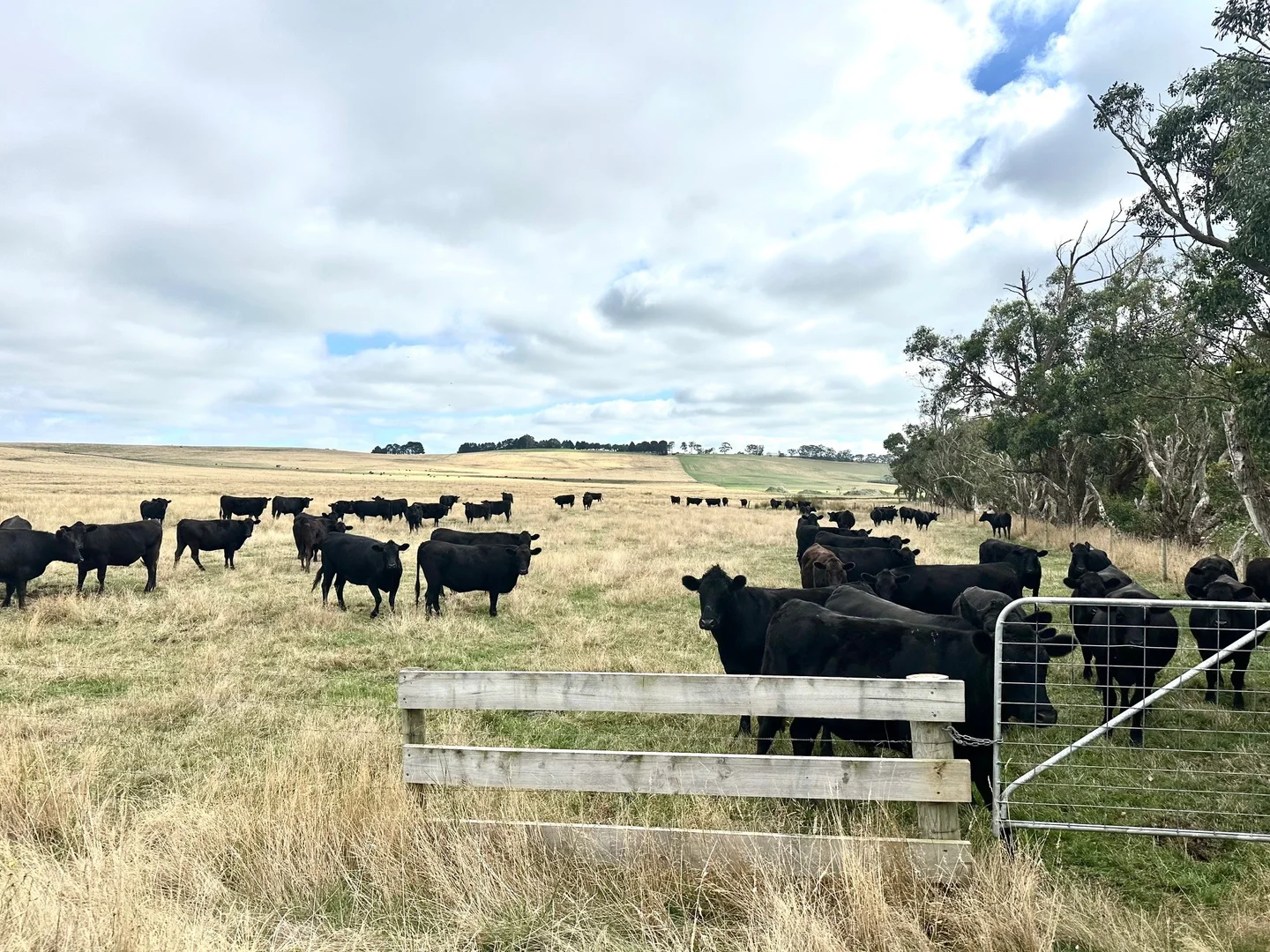 Additional image 6 of 161 Koonwarra Pound Creek Road, Leongatha South VIC 3953