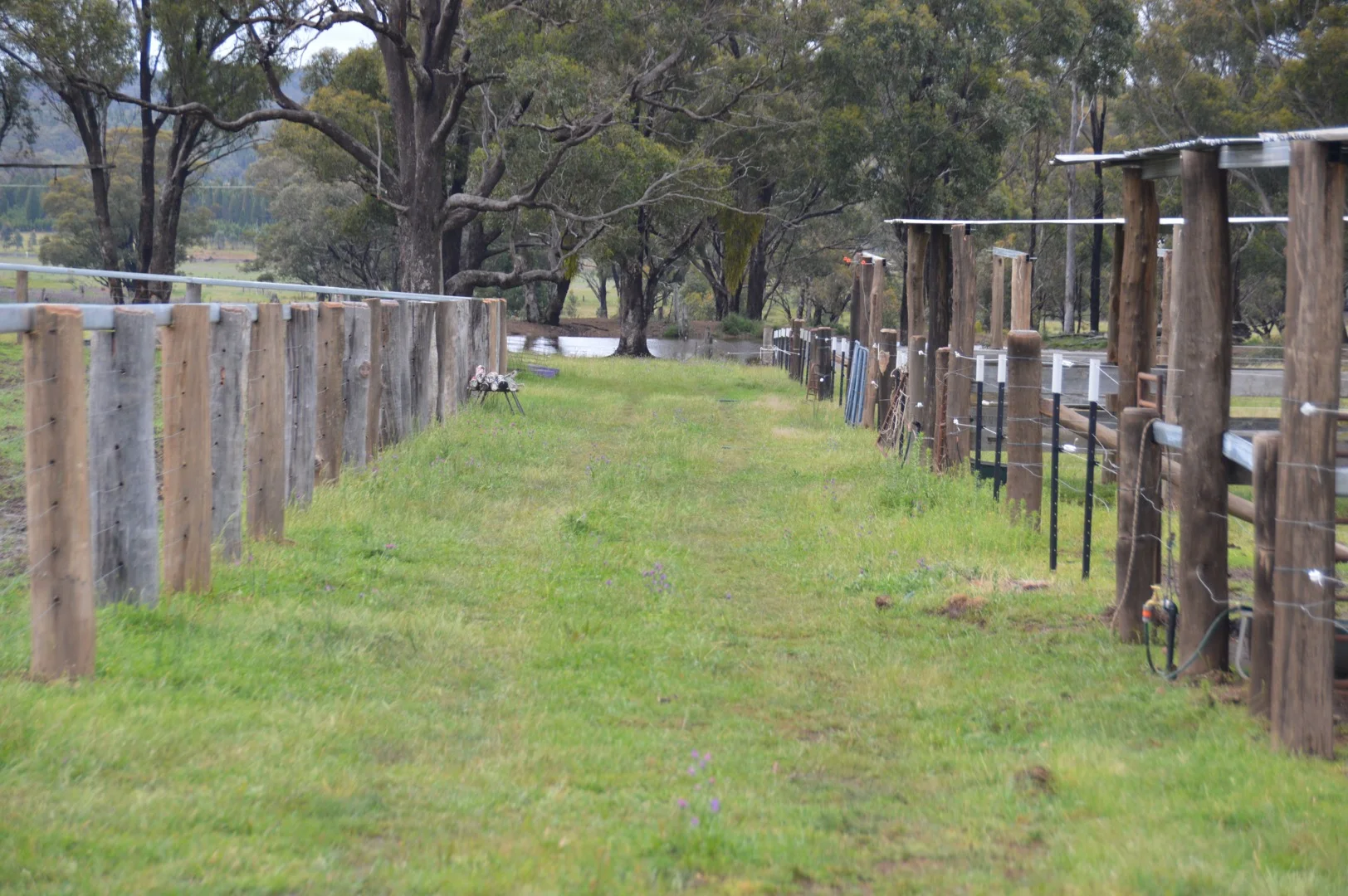 Additional image 22 of 1920 Castlereagh Highway, Dunedoo NSW 2844