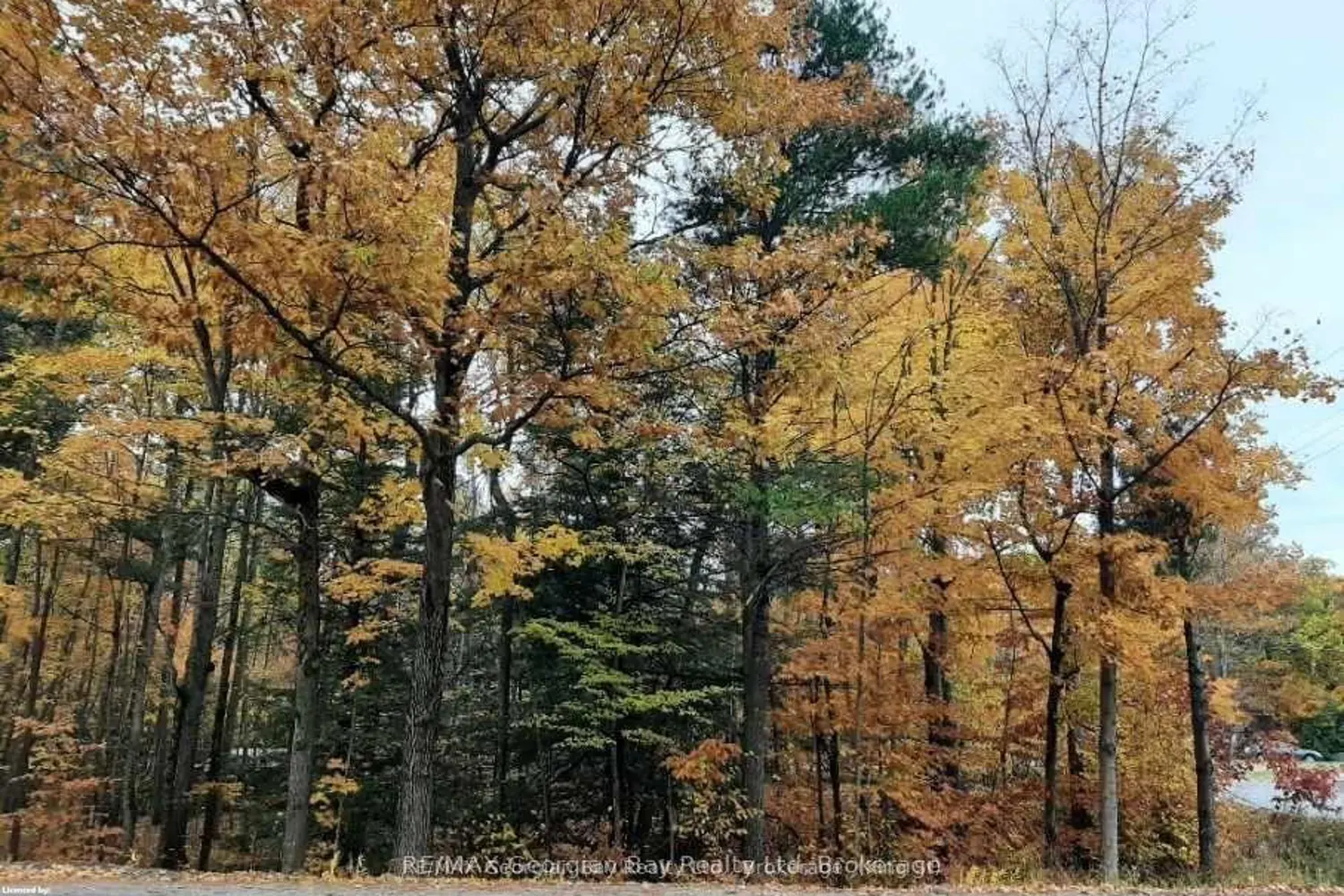 Lot 354 Desroches Trail photo 2