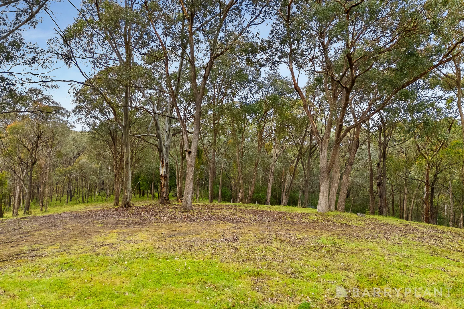 Additional image 5 of 31 Mckinnon Terrace, Christmas Hills VIC 3775