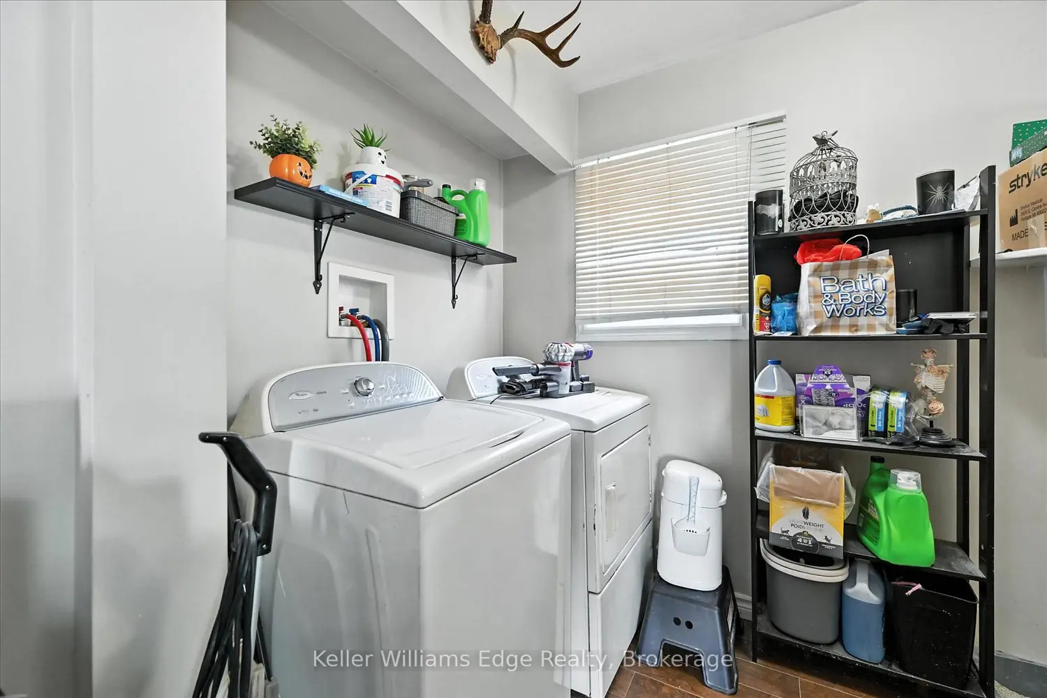 Additional image 14 of 9 Tisdale Street
