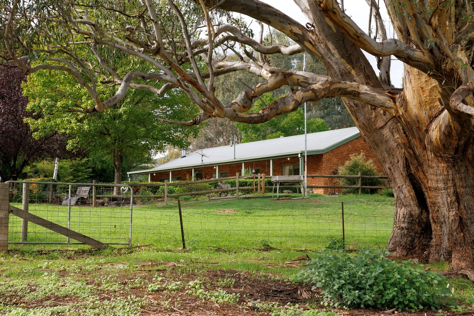 21 Grays Lane, Osbornes Flat VIC 3691