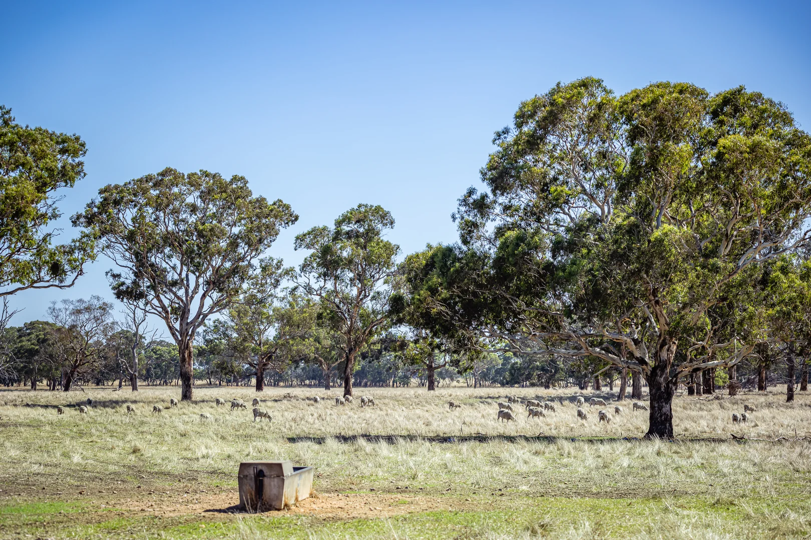 Additional image 55 of 524 Bool Lagoon West Road, Bool Lagoon SA 5271