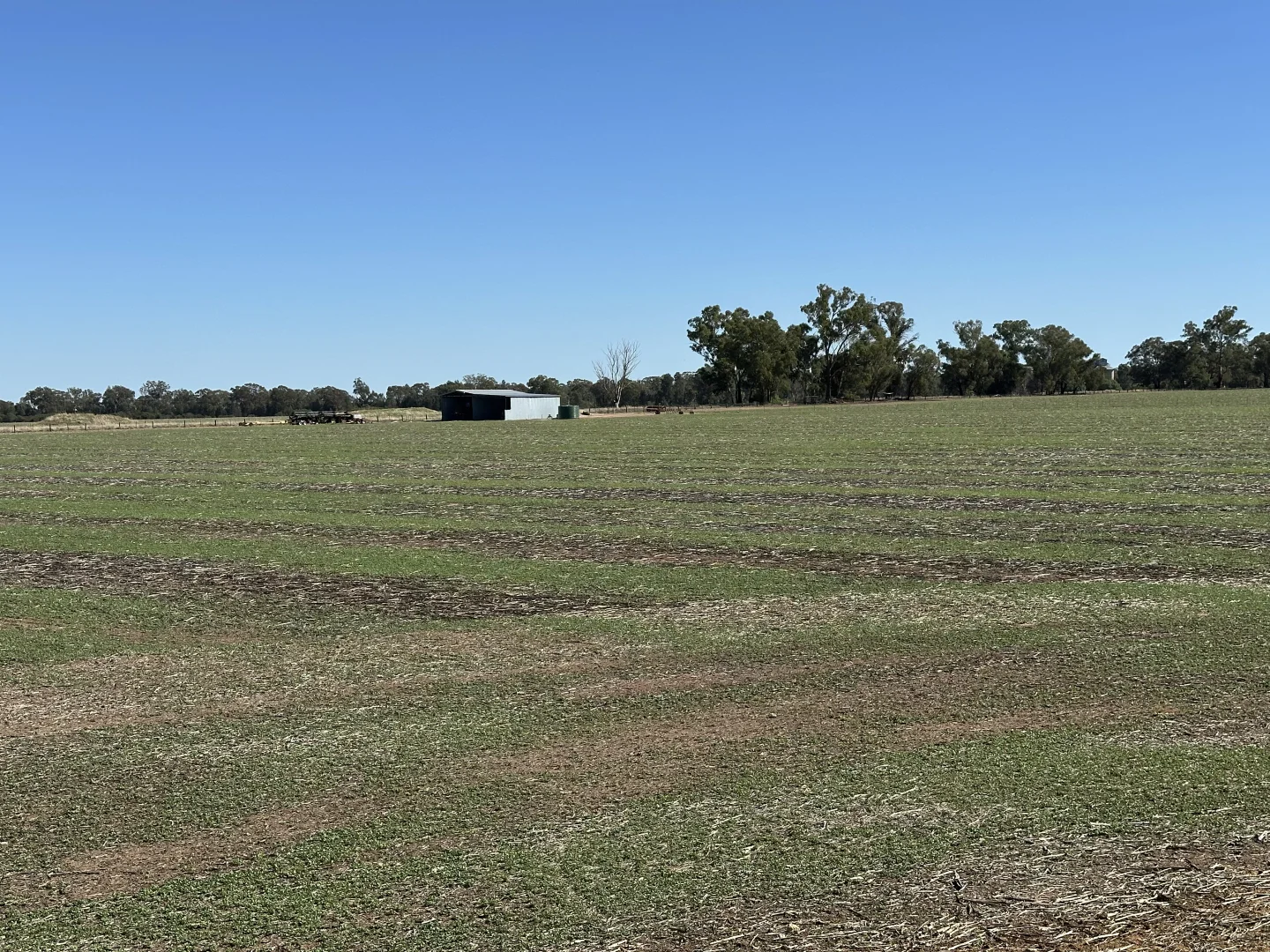 Additional image 16 of . Lilydale Road, Balldale NSW 2646