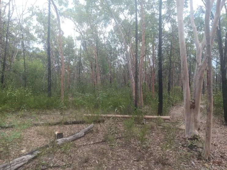 Additional image 4 of 872 South Road, Tara QLD 4421