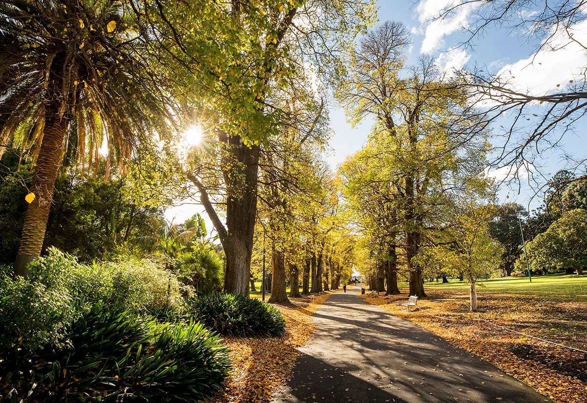 Additional image 11 of 27/22 Agnes Street, East Melbourne VIC 3002