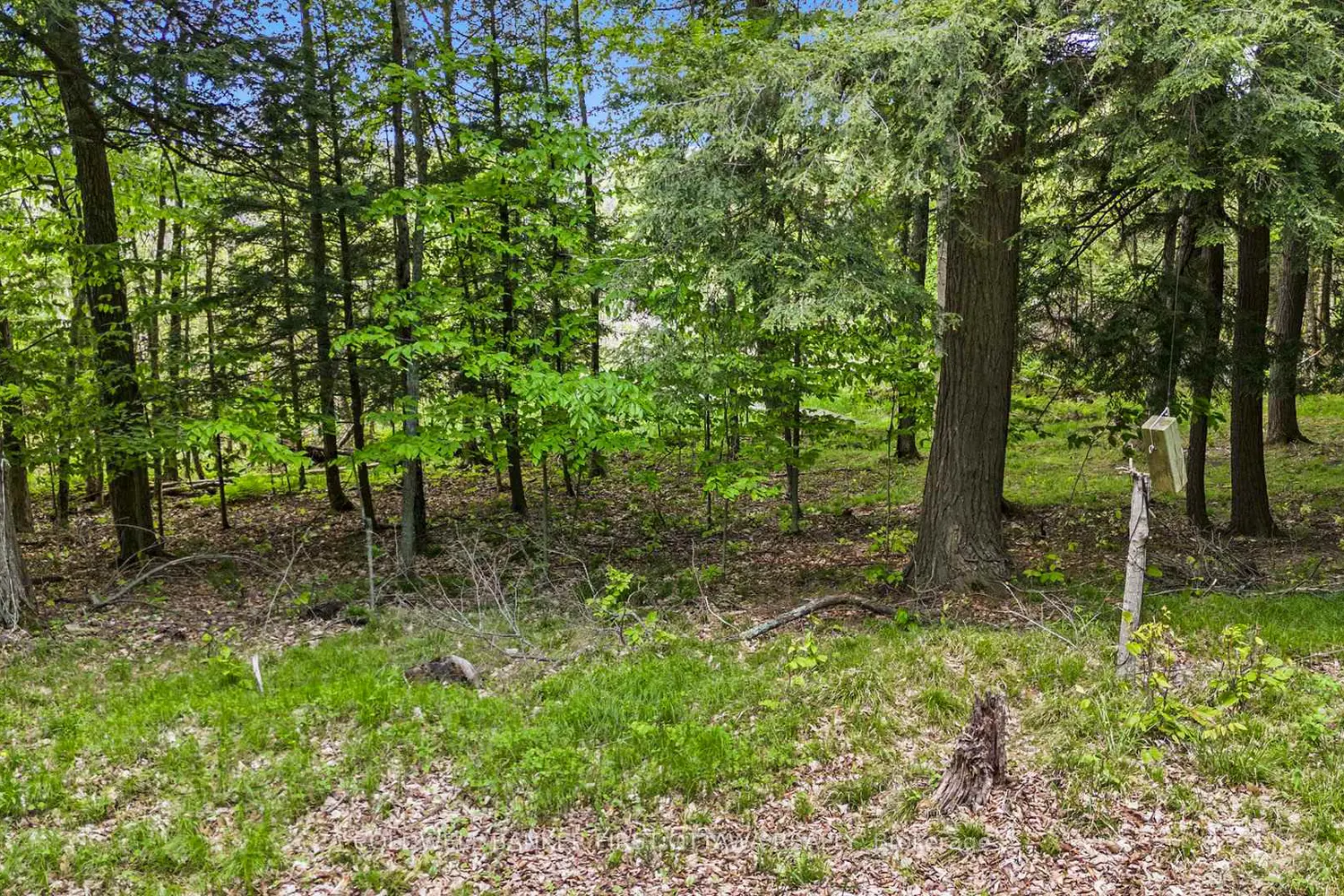 Additional image 13 of 00 Poole Drive